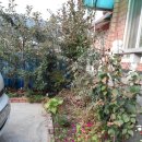 권센네민박 이미지