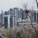 상도평마을 이미지