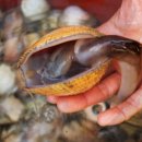 성은축산 이미지