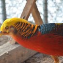 순박1농장 이미지