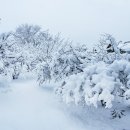 서울에 내린폭설영상 이미지