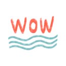 신촌애견미용실 이미지