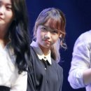 귀엽댕 Daum카페