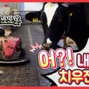 팜 마트 이미지