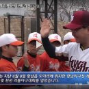 향남 야구장 야구장 이미지