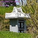 주생면 상동마을 이미지