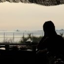 등대속의 둥지