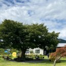 청룡사지길 이미지