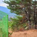 정감이마을 태양광발전소 이미지