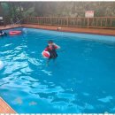 미르피아 펜션 이미지