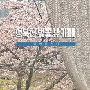 북악중학교 입구 | 일레브커피 한성대입구역 성북천 벚꽃 뷰 카페