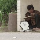 지미안 이미지