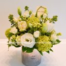 꽃꽃이 고급 이미지