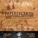 불완전
