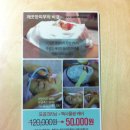해양경찰청 후문 이미지