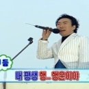 시골쥐를 부탁해 이미지