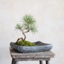 해송가든 이미지