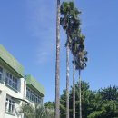 남원중학교 2 이미지