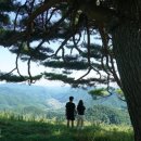 동강 - 밀양시 | 동강