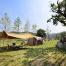 청화산캠프 관광농원 이미지