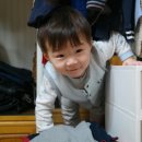 일꾸미 네이버블로그