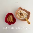 시리츠 | 인스타 감성 아기 그릇 시리츠(ceriz) 식기 내돈내산 미니보울 & 빅보울 후기