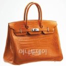 명품날개 이미지
