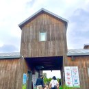 솔미농원 | 고창 아기랑 상하농원 입장료 및 후기