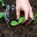 3원-天,地,人 이미지