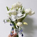 투썸플레이스영등포당산아리 | 영등포 당산 부케말리기 그랜드 컨벤션센터 웨딩 부케 보존 후기
