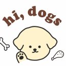 하이독스 이미지