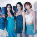카라 미디어 이미지