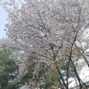 밝은행정사 이미지