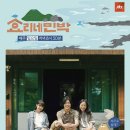 효리네 민박 이미지
