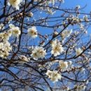 이솝한의원 이미지