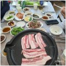 청도 한재미나리와 삼겹살의 맛도리 조합, 한재스타미나리 방문 후기