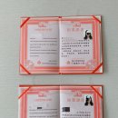 스킨더엘