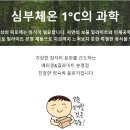 송죽칼국수 이미지