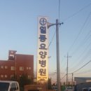 일등요양병원 이미지