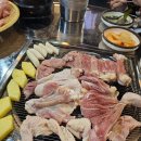 옴시롱감시롱 이미지