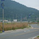 실안관광지 이미지