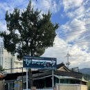 향나무집식당 이미지