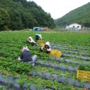 대성정비 이미지