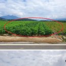 용지온천 이미지