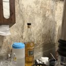 고깃집 왕고을 | [왕십리] 콜키지 프리, 고기가 맛있는 고깃집 왕고을