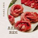 후쿠오카 텐진 원갈비 이마이즈미 예약 야키니쿠 무한리필 술 무제한 후기