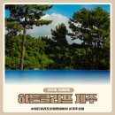 더클리프하우스 | 제주여행 히든클리프 5성급 가족 수영장 방문 실망 후기