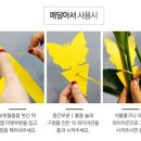 세븐가든 이미지