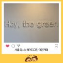 그린애견 | 서울 김포 애견동반 카페 추천｜헤이더그린 두쫀쿠 맛집 후기