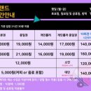 고고랜드 네이버블로그